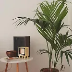Апартаменты Orange Trees House Cinque Terre *